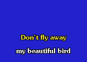 Don't fly away

my beautiful bird