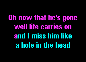 on now that he's gone
well life carries on

and I miss him like
a hole in the head