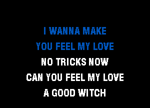 I WANNA MAKE
YOU FEEL MY LOVE

ND TRICKS HOW
CAN YOU FEEL MY LOVE
A GOOD WITCH