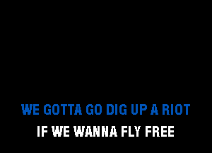 WE GOTTA GO DIG UP A RIOT
IF WE WANNA FLY FREE