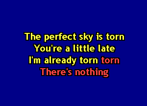 The perfect sky is torn
You're a little late

I'm already torn