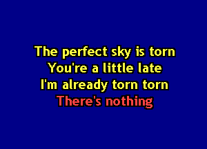 The perfect sky is torn
You're a little late

I'm already tom tom