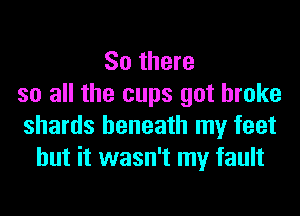So there
so all the cups got broke
shards beneath my feet
but it wasn't my fault
