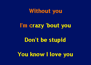 Without you
I'm crazy 'bout you

Don't be stupid

You know I love you