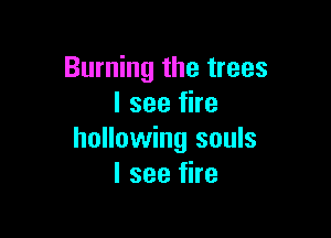 Burning the trees
I see fire

hollowing souls
I see fire