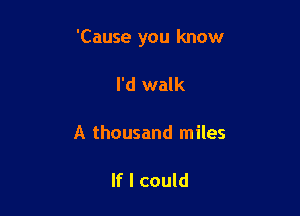 'Cause you know

I'd walk

A thousand miles

If I could