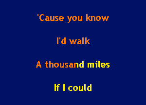 'Cause you know

I'd walk

A thousand miles

If I could