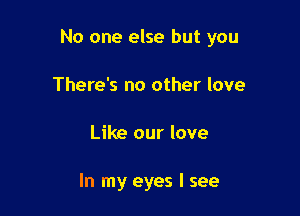 No one else but you

There's no other love
Like our love

In my eyes I see