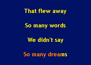 That flew away

So many words
We didn't say

So many dreams