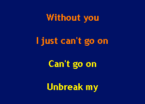 Without you
ljust can't go on

Can't go on

Unbreak my