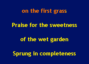 on the first grass
Praise for the sweetness

of the wet garden

Sprung in completeness l