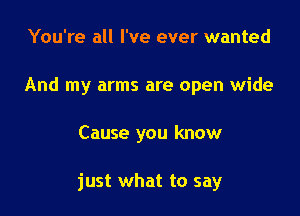 You're all I've ever wanted
And my arms are open wide

Cause you know

just what to say