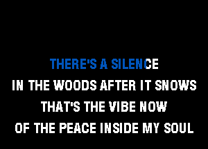 THERE'S A SILENCE
IN THE WOODS AFTER IT SHOWS
THAT'S THE VIBE HOW
OF THE PEACE INSIDE MY SOUL