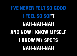 WE NEVER FELT SO GOOD
I FEEL SO SOFT
NAH-NnH-NAH

AND NOWI KNOW MYSELF

I KNOW MY SPOTS
HAH-NAH-HRH