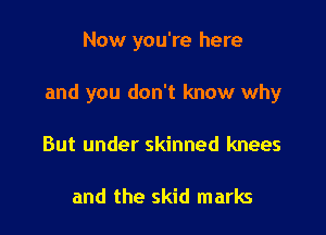 Now you're here

and you don't know why

But under skinned knees

and the skid marks