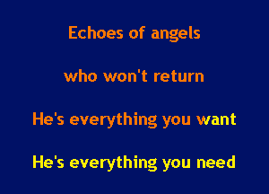Echoes of angels
who won't return

He's everything you want

He's everything you need