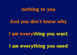 nothing to you

And you don't know why

I am everything you want

I am everything you need