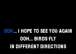 00H... I HOPE TO SEE YOU AGAIN
00H... BIRDS FLY
IN DIFFERENT DIRECTIONS