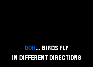00H... BIRDS FLY
IN DIFFERENT DIRECTIONS