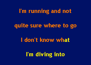 I'm running and not
quite sure where to go

I don't know what

I'm diving into