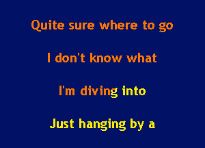 Quite sure where to go
I don't know what

I'm diving into

Just hanging by a