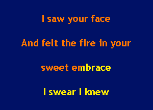 I saw your face

And felt the fire in your

sweet embrace

I swear I knew