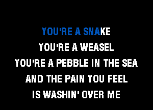 YOU'RE A SHAKE
YOU'RE A WEASEL
YOU'RE A PEBBLE IN THE SEA
AND THE PAIH YOU FEEL
IS WASHIH' OVER ME