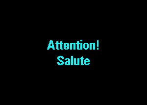 Attention!

Salute