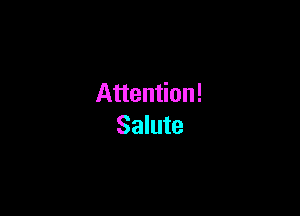 Attention!

Salute