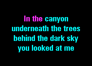 In the canyon
underneath the trees

behind the dark sky
you looked at me
