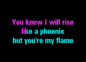 You know I will rise

like a phoenix
but you're my flame