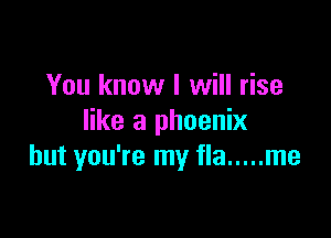 You know I will rise

like a phoenix
but you're my fla ..... me