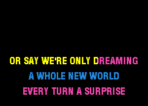 0R SAY WE'RE ONLY DREAMIHG
A WHOLE NEW WORLD
EVERY TURN A SURPRISE