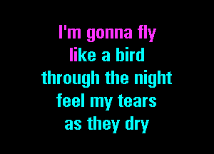 I'm gonna fly
like a bird

through the night
feel my tears
as they dry