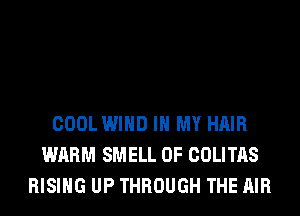 COOL WIND IN MY HAIR
WARM SMELL 0F COLITAS
RISING UP THROUGH THE AIR