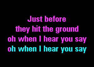 Just before
they hit the ground

oh when I hear you say
oh when I hear you say