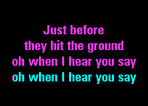 Just before
they hit the ground

oh when I hear you say
oh when I hear you say