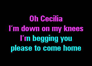 Oh Cecilia
I'm down on my knees

I'm begging you
please to come home