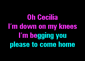 Oh Cecilia
I'm down on my knees

I'm begging you
please to come home