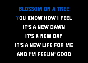 BLOSSOM ON A TREE
YOU KNOW HOWI FEEL
IT'S A NEW DAWN
IT'S A NEW DAY
IT'S A NEW LIFE FOR ME

AND I'M FEELIH' GOOD I