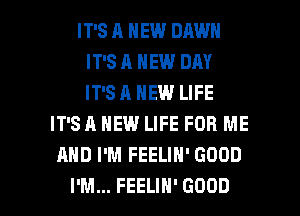 IT'S 11 NEW DAWN
IT'SA NEW DAY
IT'SA NEW LIFE

IT'S A NEW LIFE FOR ME
AND I'M FEELIN' GOOD

I'M... FEELIH' GOOD I