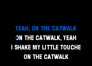 YEAH, ON THE CATWALK
ON THE CATWALK, YEAH
I SHAKE MY LITTLE TOUCHE

ON THE CATWALK l