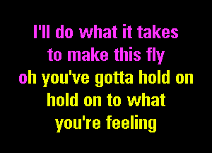 I'll do what it takes
to make this fly

oh you've gotta hold on
hold on to what
you're feeling