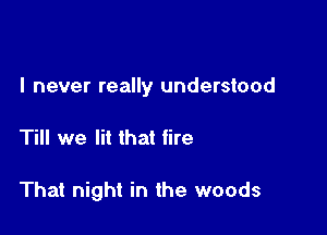 I never really understood

Till we lit that tire

That night in the woods