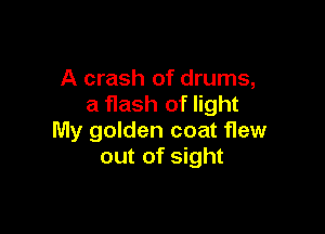 A crash of drums,
a flash of light

My golden coat flew
out of sight