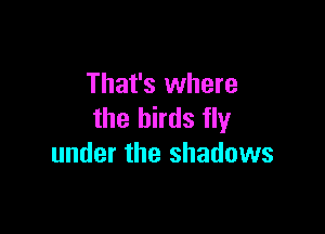 That's where

the birds fly
under the shadows