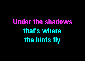 Under the shadows

that's where
the birds fly