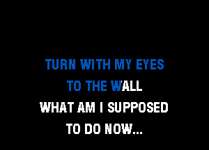 TURN WITH MY EYES

TO THE WALL
WHAT AM I SUPPOSED
TO DO HOW...