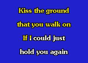 Kiss the ground
that you walk on

If I could just

hold you again