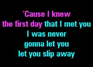 'Cause I knew
the first day that I met you

I was never
gonna let you
let you slip away